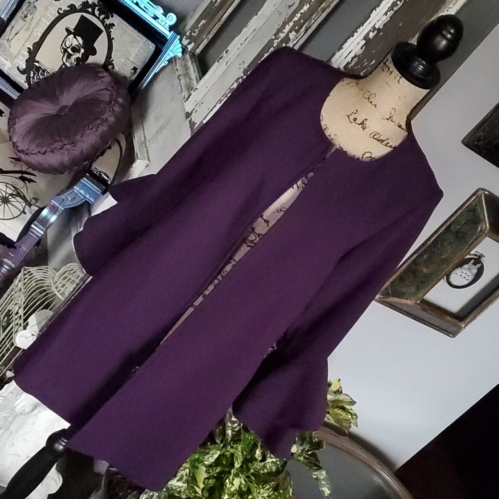 ALFANI plum purple 3/4 layered sleeve jacket